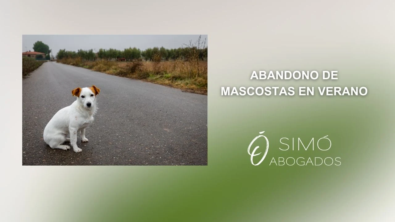 Abandonar animales en verano es delito penal
