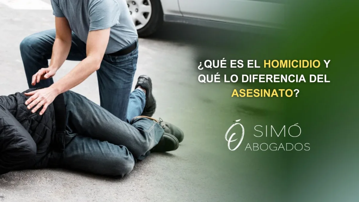 Diferencias entre homicidio y asesinato: guía legal