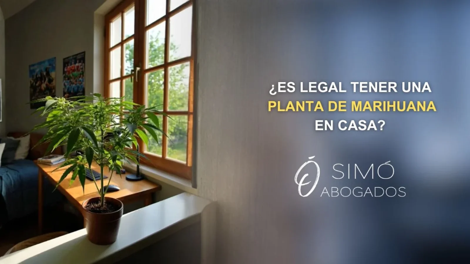 ¿Es delito cultivar marihuana en casa en España?