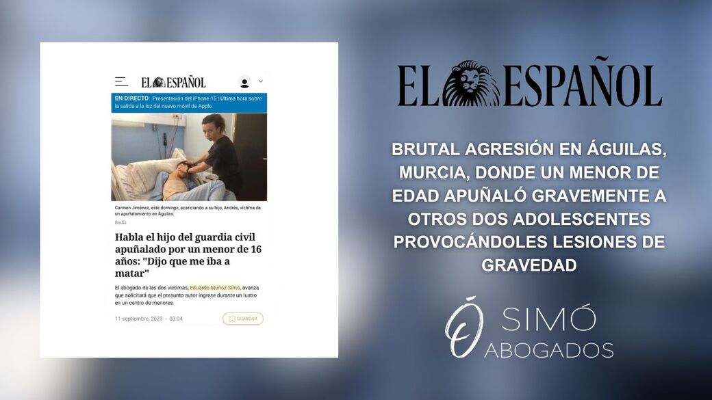 Artículo: "Dijo que me iba a matar": Ejercemos la acusación particular