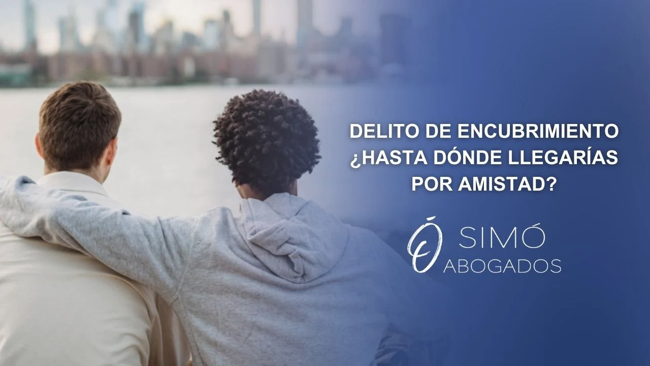 ¿Cómo actuar si te piden ayuda tras cometer un delito?