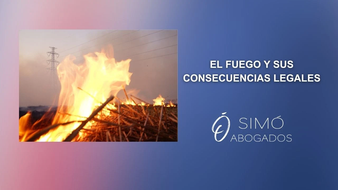 Encender fuego en el campo: ¿imprudencia o delito?