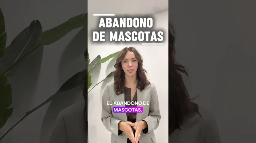 Vídeo de Abandono de mascotas en verano: no es un descuido, es un delito