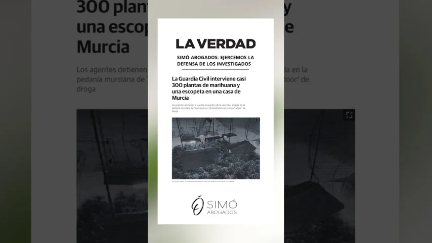 Vídeo de Investigados por un presunto delito de cultivo de marihuana